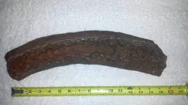 damon-fossil-002.webp damon-fossil-002.webp