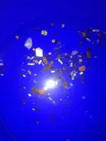 ImageUploadedByTreasureNet.com1434421888.777568.webp