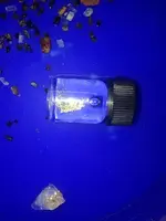ImageUploadedByTreasureNet.com1434421900.360861.webp