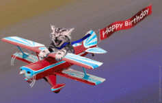 birthday-pilotcat (1).gif birthday-pilotcat (1).gif