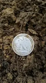 1917 S Back 2.webp