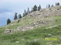 100_1681.webp