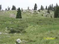 100_1683.webp