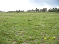 100_1670.webp