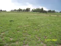 100_1671.webp