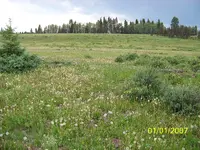 100_1672.webp