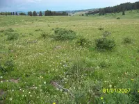 100_1674.webp