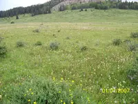 100_1675.webp