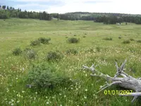 100_1676.webp