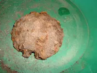 DSCF0009.webp DSCF0009.webp