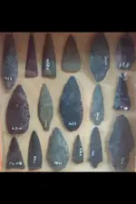 ImageUploadedByTreasureNet.com1437839159.380315.webp