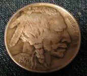 1920 Buffalo.webp