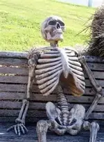 skeleton.webp