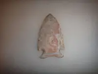 DSC03225.webp