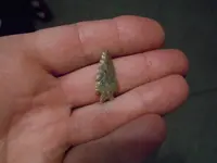 DSCN0279.webp