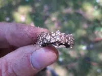 July 18 finds 008.webp
