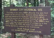 Brandy City 1.webp Brandy City 1.webp