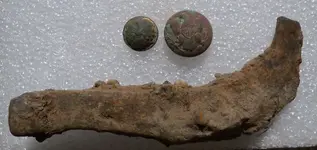 Buttons & horseshoe.webp