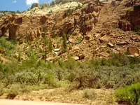 IMAG0005-Barton.webp
