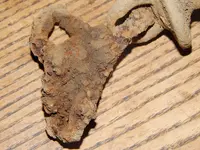 DSCN0367.webp
