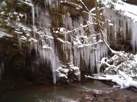 HPIM0207.webp