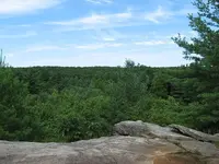 rock8.webp
