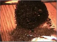 black sand1.webp
