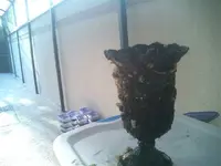 Candelabra 001.webp