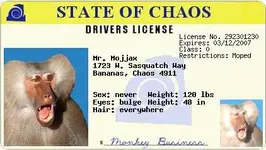 license_genAs.webp