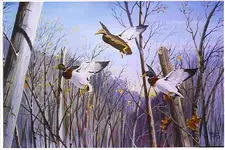 Tree Top Mallards-Changed.webp