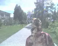 dasaovnsov.webp