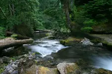 saltcreek 024_RT8.webp