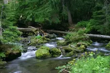 saltcreek 038_RT8.webp