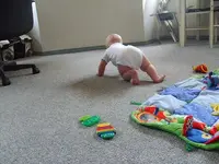 crawling.webp