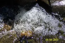 100_9516 (Small).webp