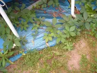 2007_0723Image0014.webp