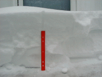 Snow42.gif