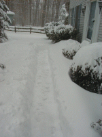 Snow33.gif