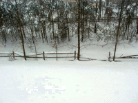 Snow3.gif