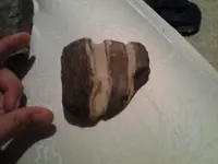 20150802_015938.webp