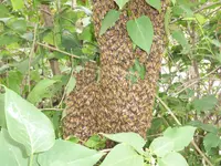 100_1715.webp 100_1715.webp