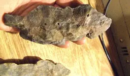 DSCF4579.webp