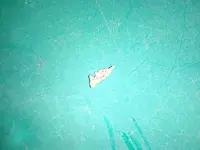 20150606_192651.webp