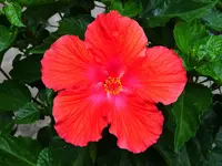 012.webp