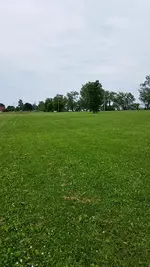 20150709_120423_resized.webp