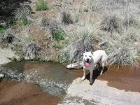 Farley creek 2.webp Farley creek 2.webp