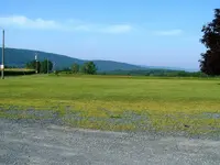 DSCF0006.webp