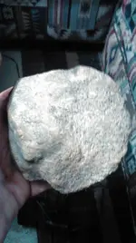 uploadfromtaptalk1436011207951.webp