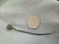 ImageUploadedByTreasureNet.com1438521101.111242.webp