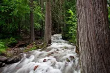 Overflowing Stream small.webp